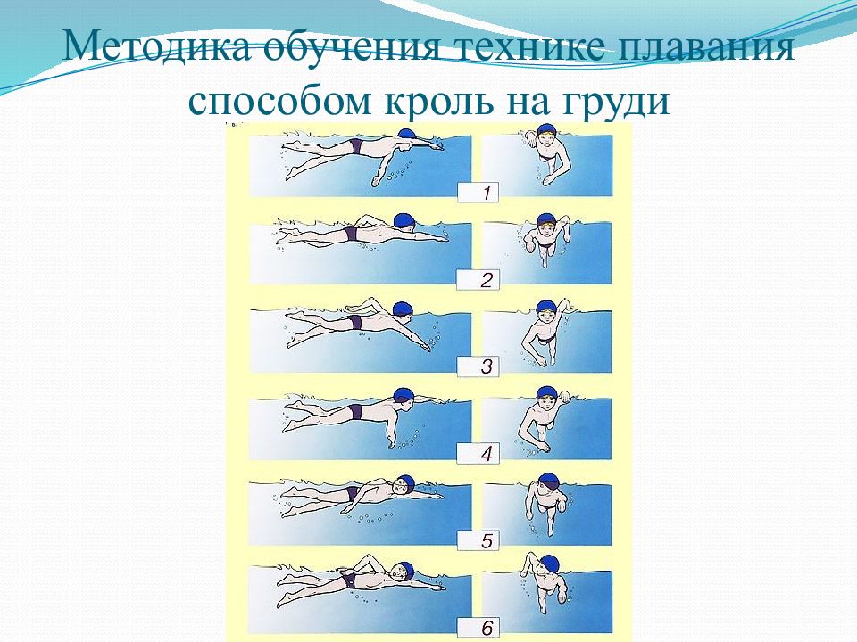 Методика обучения плаванию кролем на спине