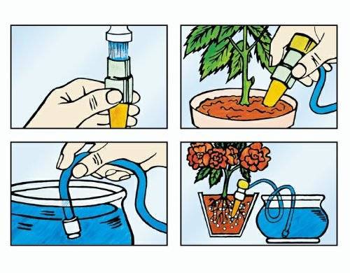 Поливать цветы минеральной водой: можно ли, какие именно и что будет при поливе растений минералкой с газом и без?