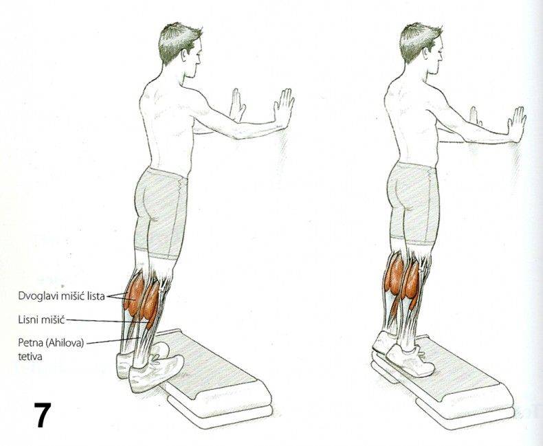 Подъем на носки сидя: техника выполнения, какие мышцы работают