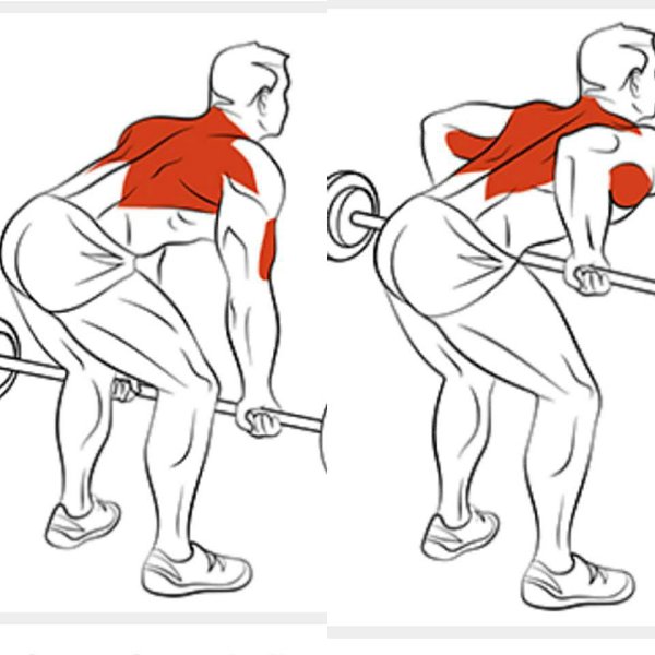 Широкая спина: как сделать спину шире в домашних условиях и тренажерном зале
