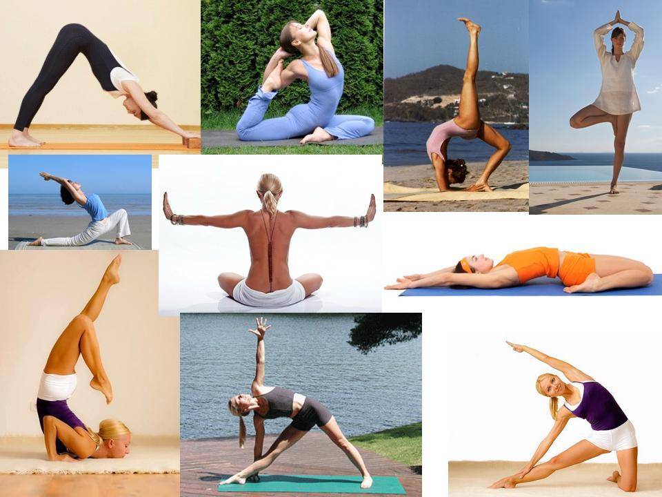 Позы йоги: глубокое руководство по полезным позам йоги