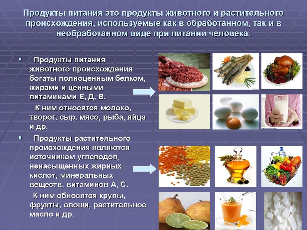Компоненты пищи: описание и полезные вещества продуктов питания