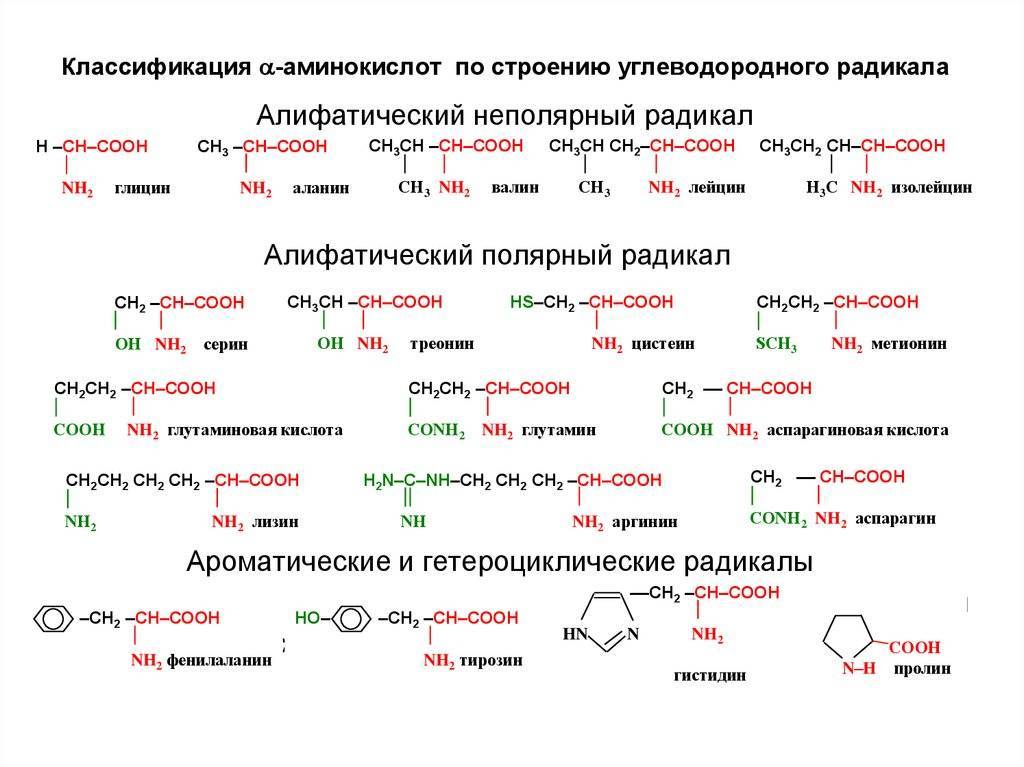 Строение аминокислоты схема