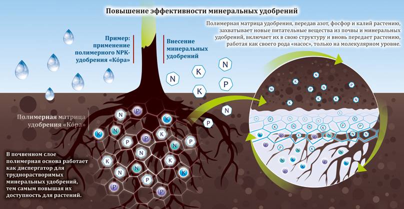Вода и ее свойства физические и химические. структура воды :: syl.ru