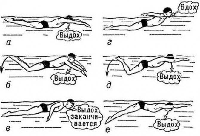 Правильное дыхание при плавании сложный процесс. правильное дыхание при плавании в бассейне