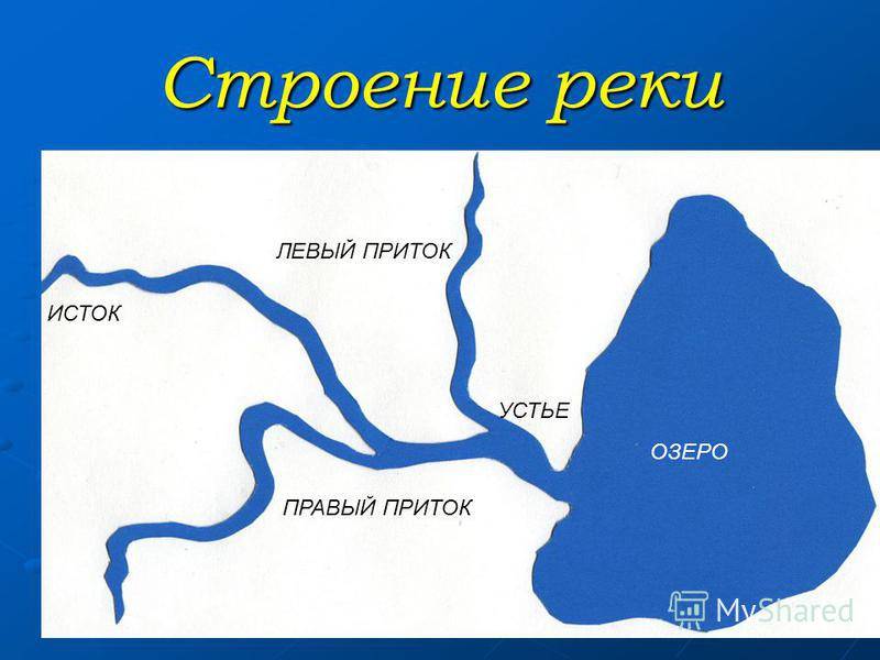 Реки санкт-петербурга: названия и фото, на карте, список — нева, фонтанка, мойка и др.
