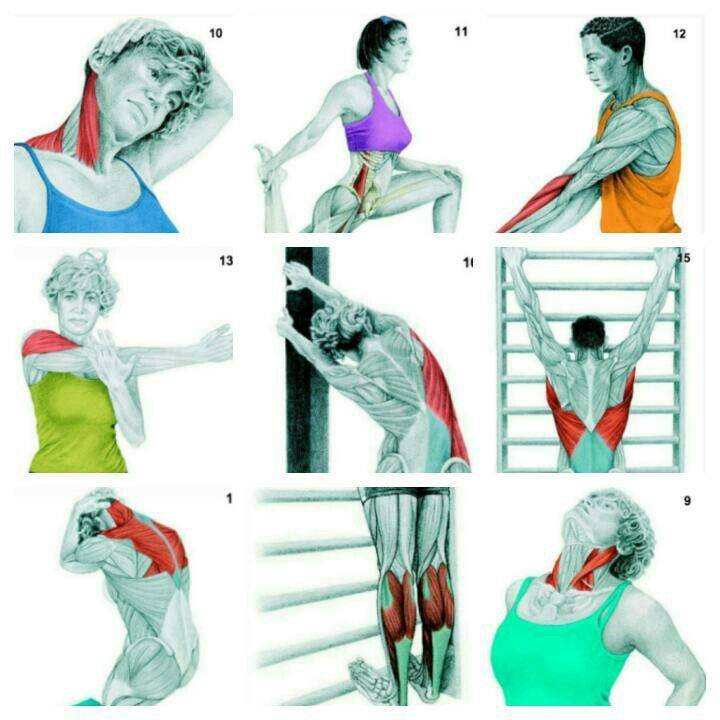 Упражнения для мышц шеи