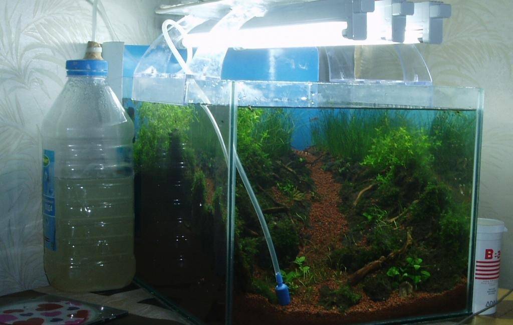 Аэрация воды в аквариуме: обеспечиваем кислород рыбкам