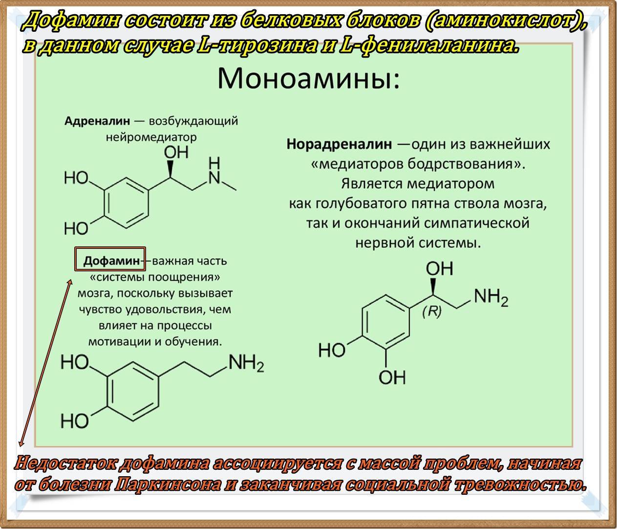 Функции серотонина. Формула дофамина химия. Химическая формула дофамина. Дофамин химическая структура. Дофамин структурная формула.