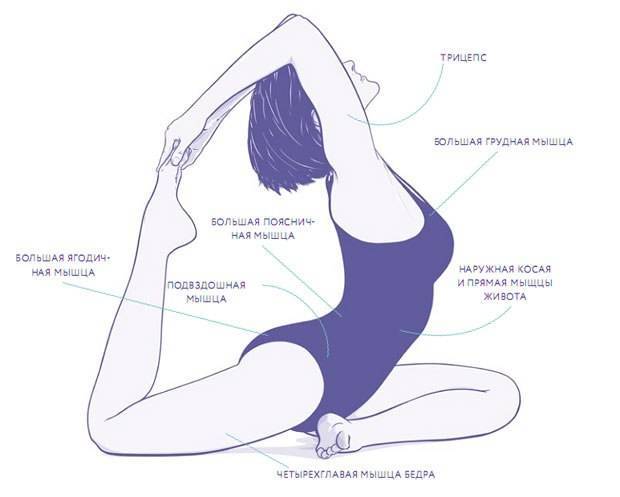 Поза голубя в йоге: польза упражнений и как научиться