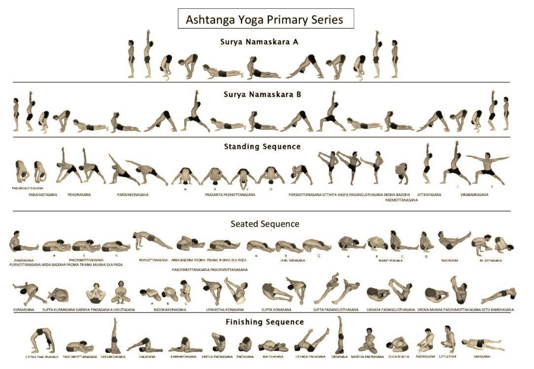 Аштанга йога что это : виньяса для начинающих, асаны, отзывы, упражнения