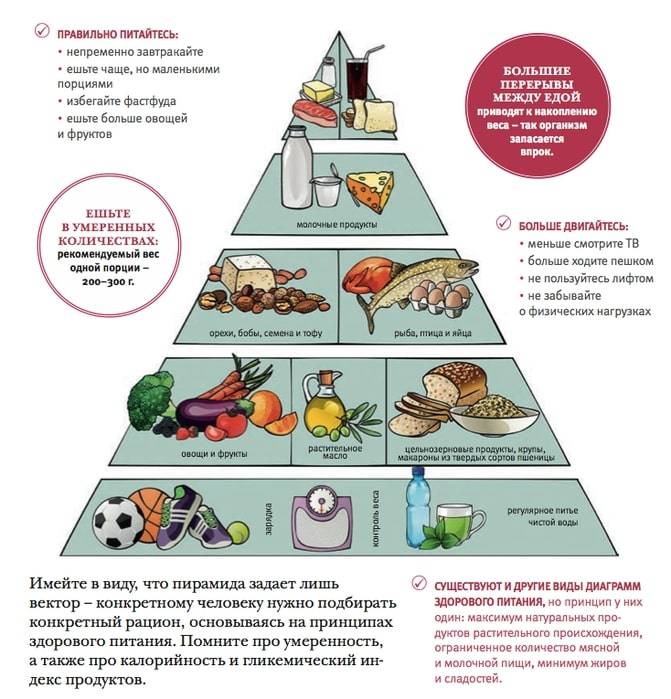 Обязательные продукты дома. Пирамида правильного питания. Рацион здорового питания. Принципы здорового питания. Рацион правильного питания пирамида.