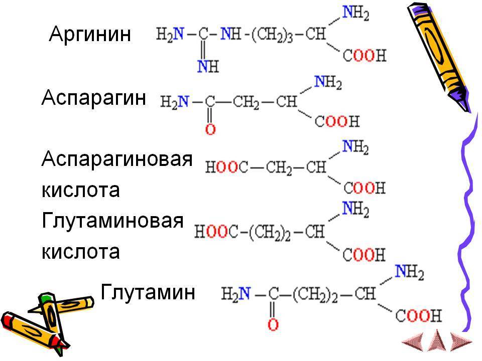 Глицин класс соединений. Аспарагиновая кислота формула аминокислоты. Аспарагиновую кислота + цистеин формула. Аспарагиновая кислота структурная формула. Амид аспарагиновой кислоты формула.