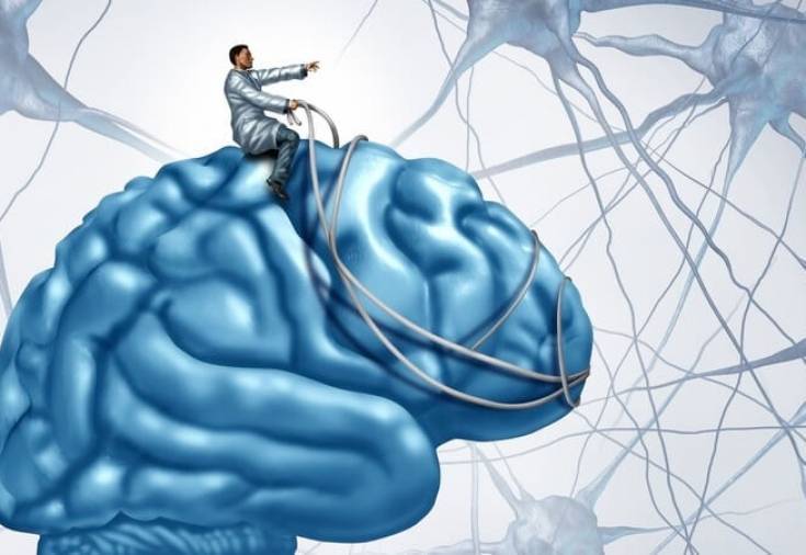 Осознанные тренировки: что такое нейромышечная связь и как ее укрепить? | фитнес | онлайн-журнал #яworldclass