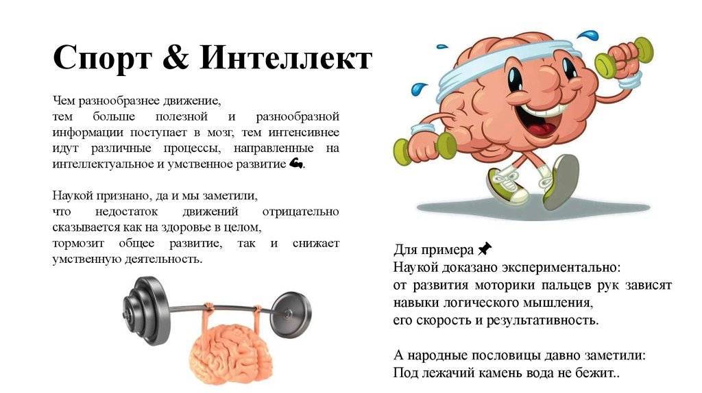 Особенности и самые лучшие методы для тренировки мозга