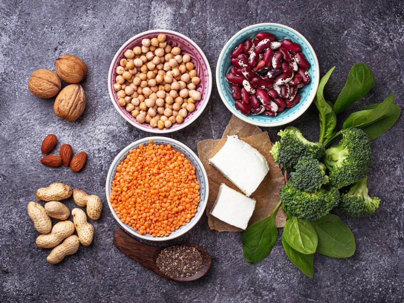 Растительный и животный белок: в чем разница? | racionika | диеты, рецепты, пп ???? | дзен