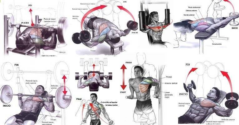 Упражнения на верхнюю часть грудных мышц в домашних условиях