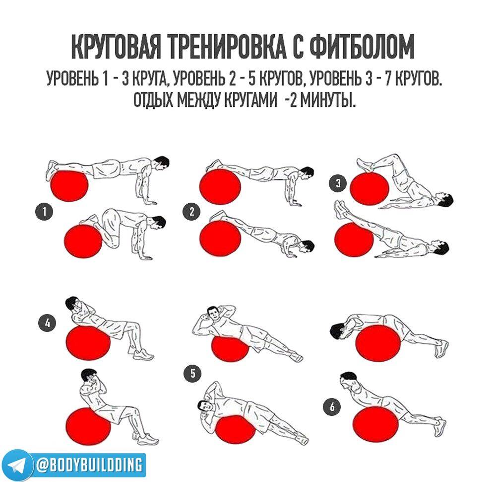 Комплекс упражнений с фитболом для похудения — круговая тренировка