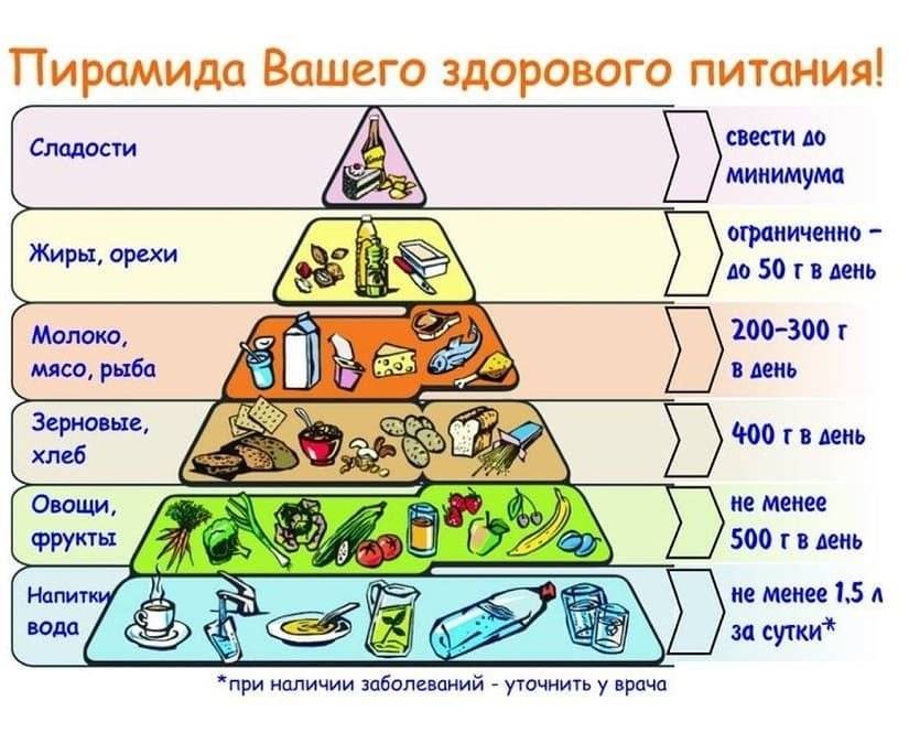 «пирамида питания». диетология: руководство