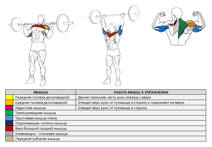 Упражнения для тренировки мышц плечевого пояса