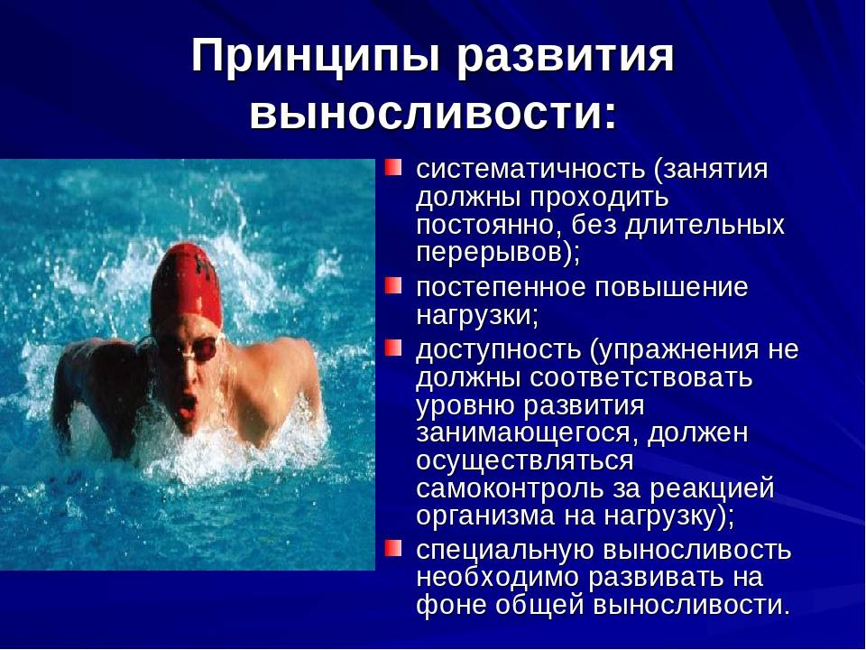:: 2. программы тренировок по плаванию - средний уровень