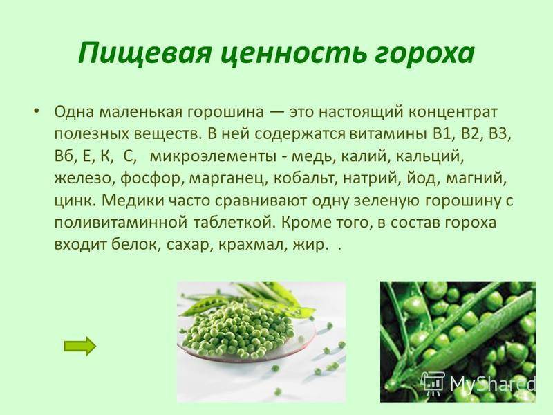 Горох ценность. Горошек питательные вещества. Витамины в молодом горохе. Горох какие витамины содержит. Горох питательные вещества.