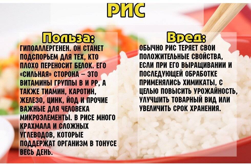 Рис - калорийность, полезные свойства, польза и вред