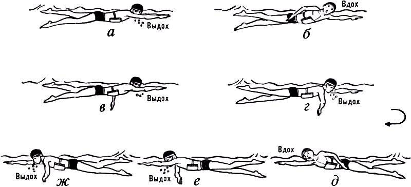 Плавание брассом: техника выполнения, упражнения, ошибки