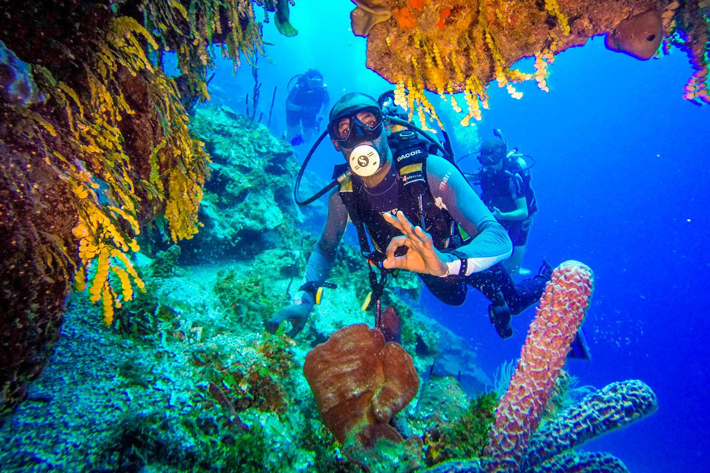 8 лучших отелей египта с коралловыми рифами