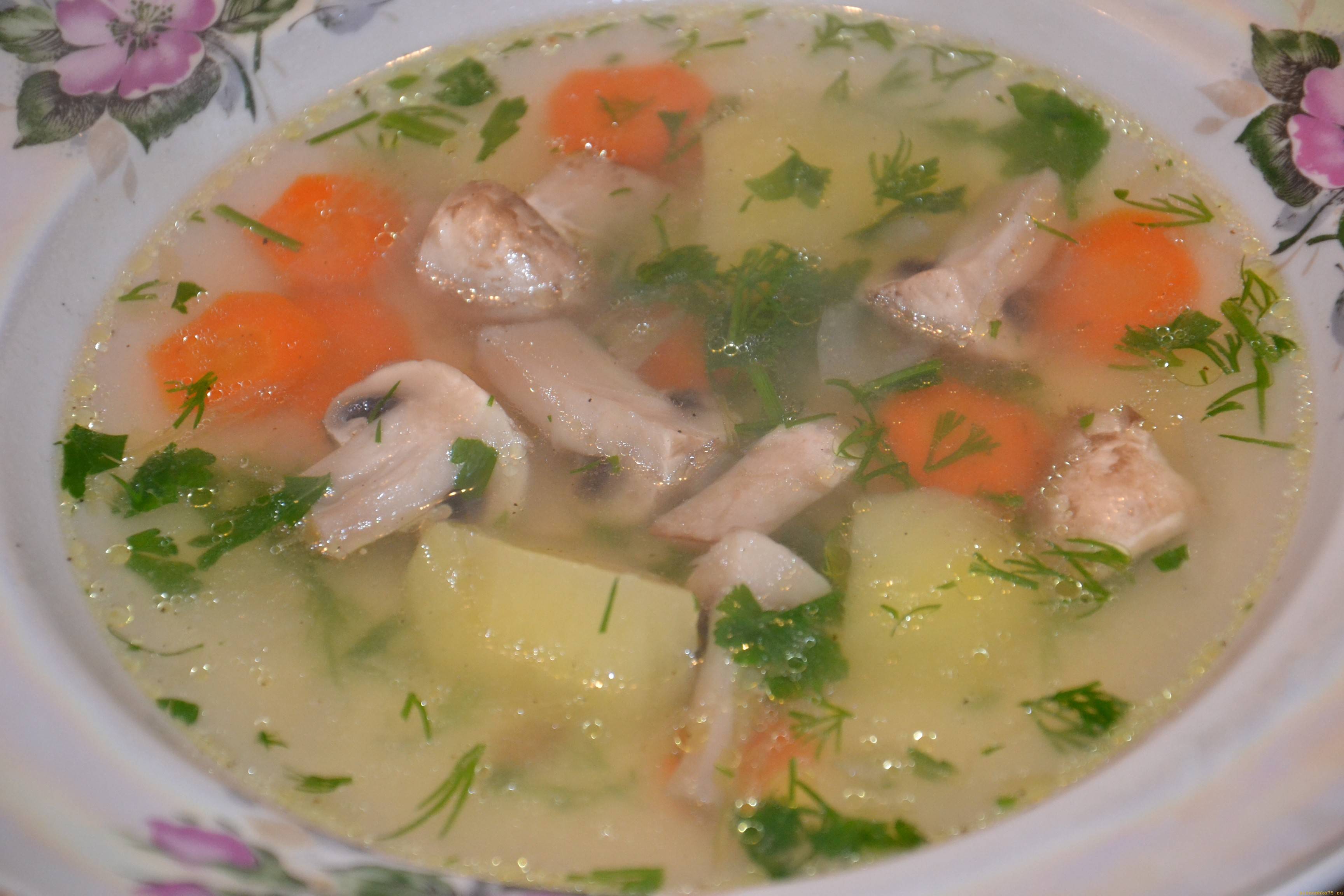 Суп для похудения: рецепты с сельдереем, капустного, лукового, боннского и других, отзывы