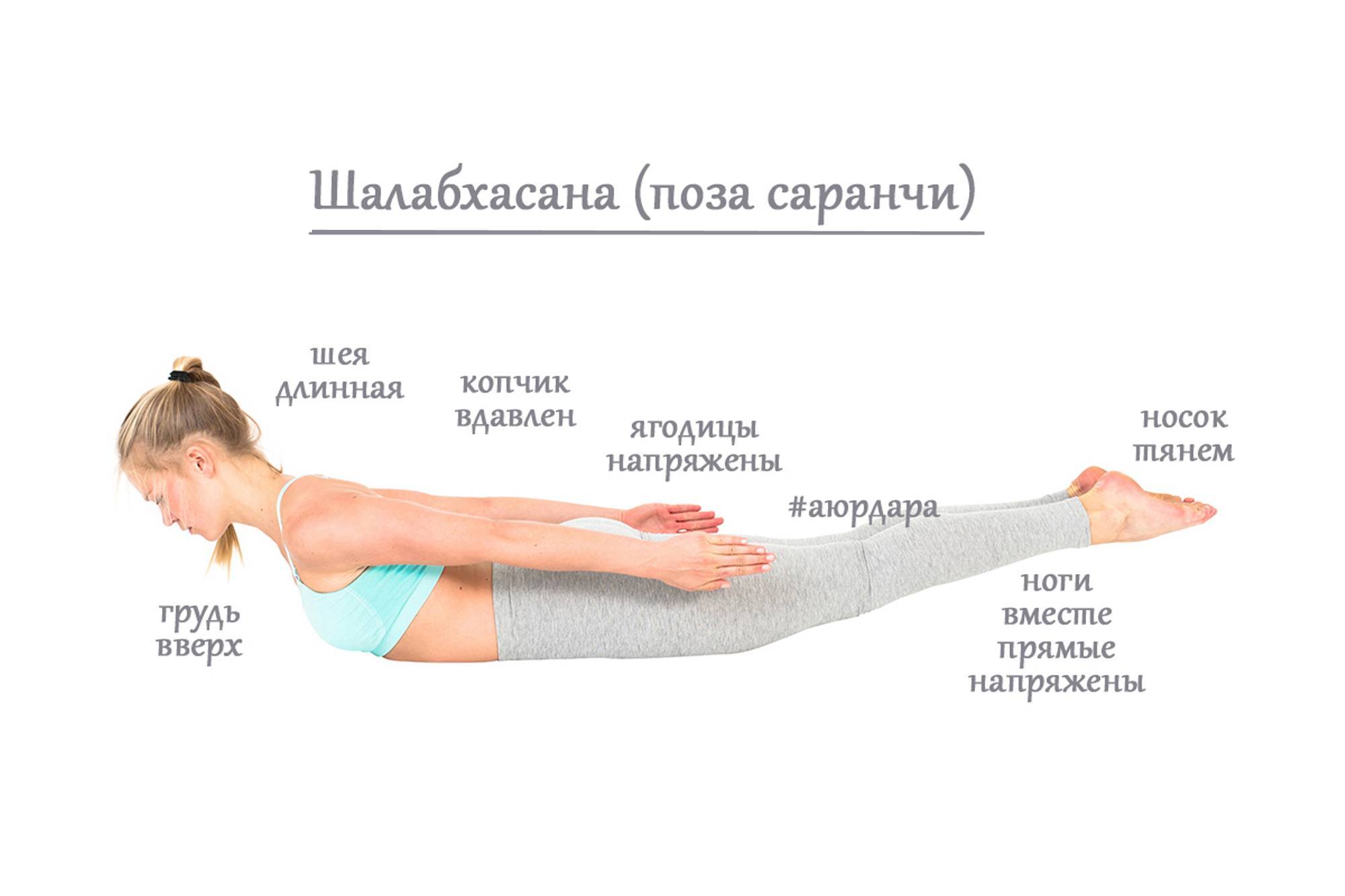 Поза саранчи в йоге для проработки глубоких мышц спины. Пошаговое выполнение Шалабхасаны и ее вариаций