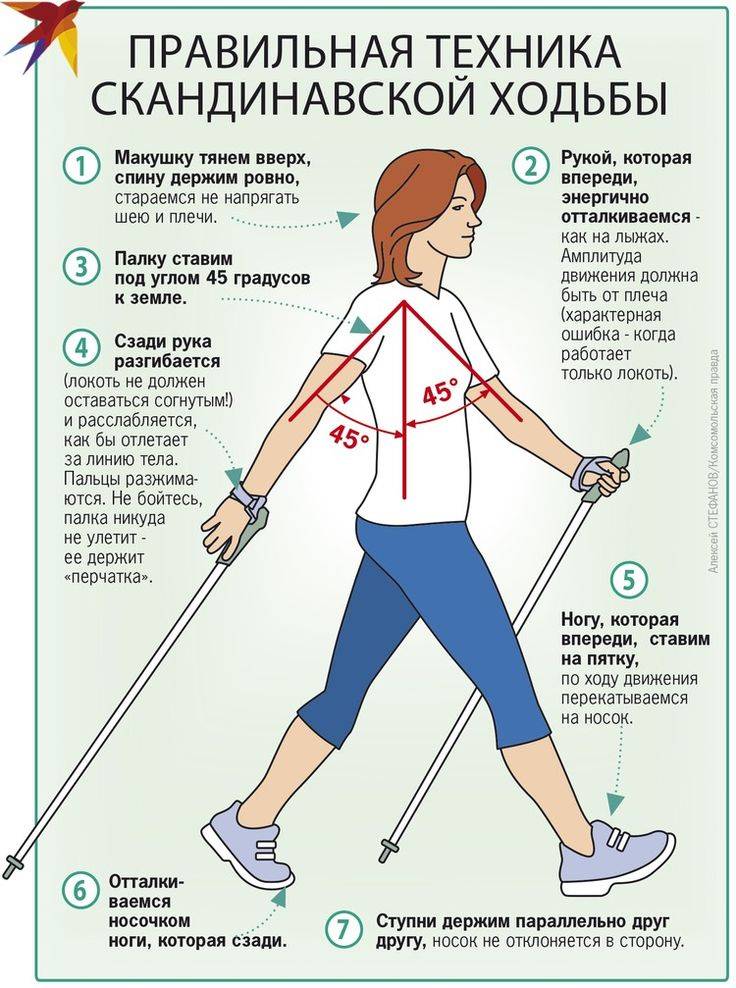 Скандинавская ходьба с палками: техника ходьбы для начинающих для похудения