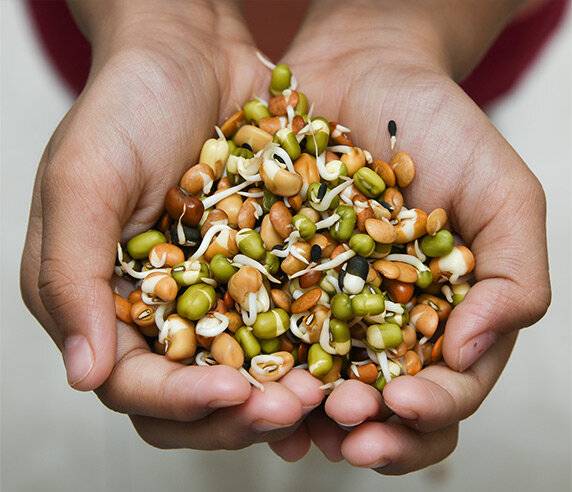 Полезны ли на самом деле пророщенные зерна? | питание и диеты | кухня