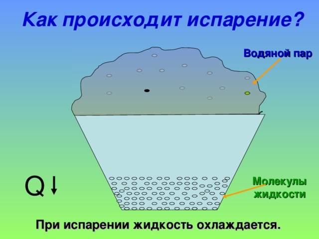 Урок 4: жизнь растений. часть 2 - 100urokov.ru