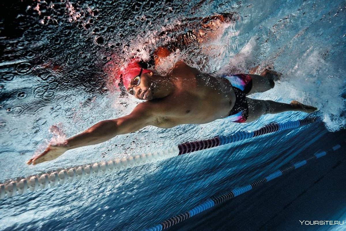 Методы тренировки в плавании статья по физкультуре на тему
