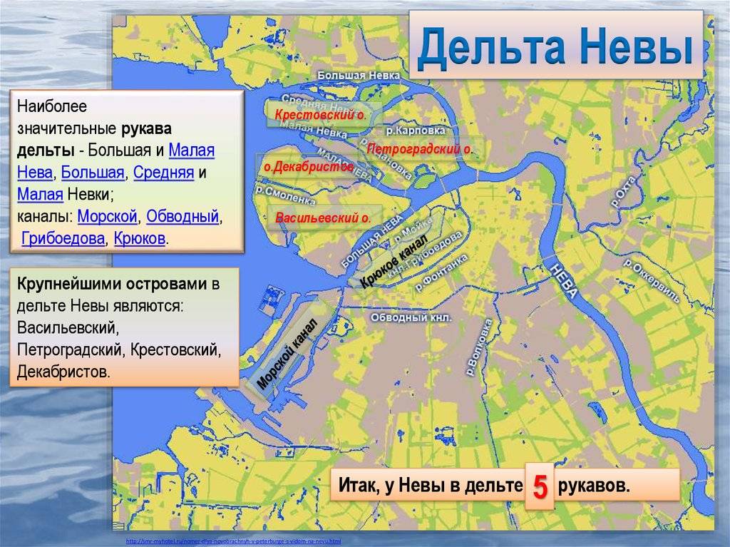 Исток реки Невы: где находится, когда и как открыли, какой остров здесь располож