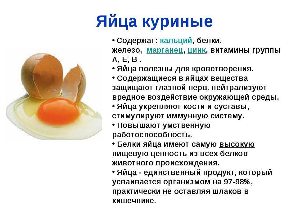 От чего зависит цвет желтка куриного яйца и почему он разный