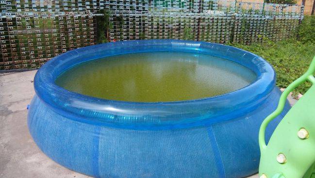 Чтобы вода в бассейне не зеленела: причины и предотвращение