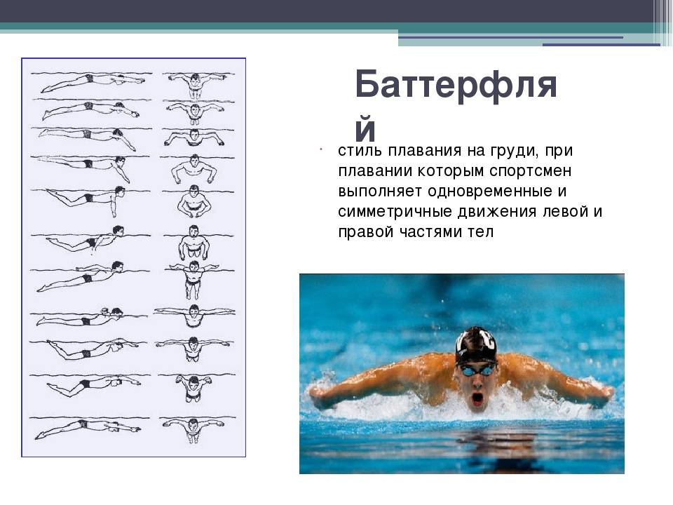 Виды плавания картинки