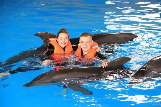 Плавание с дельфинами, что стоит знать