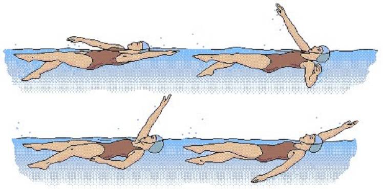 Плавание для позвоночника: польза упражнений в воде и противопоказания