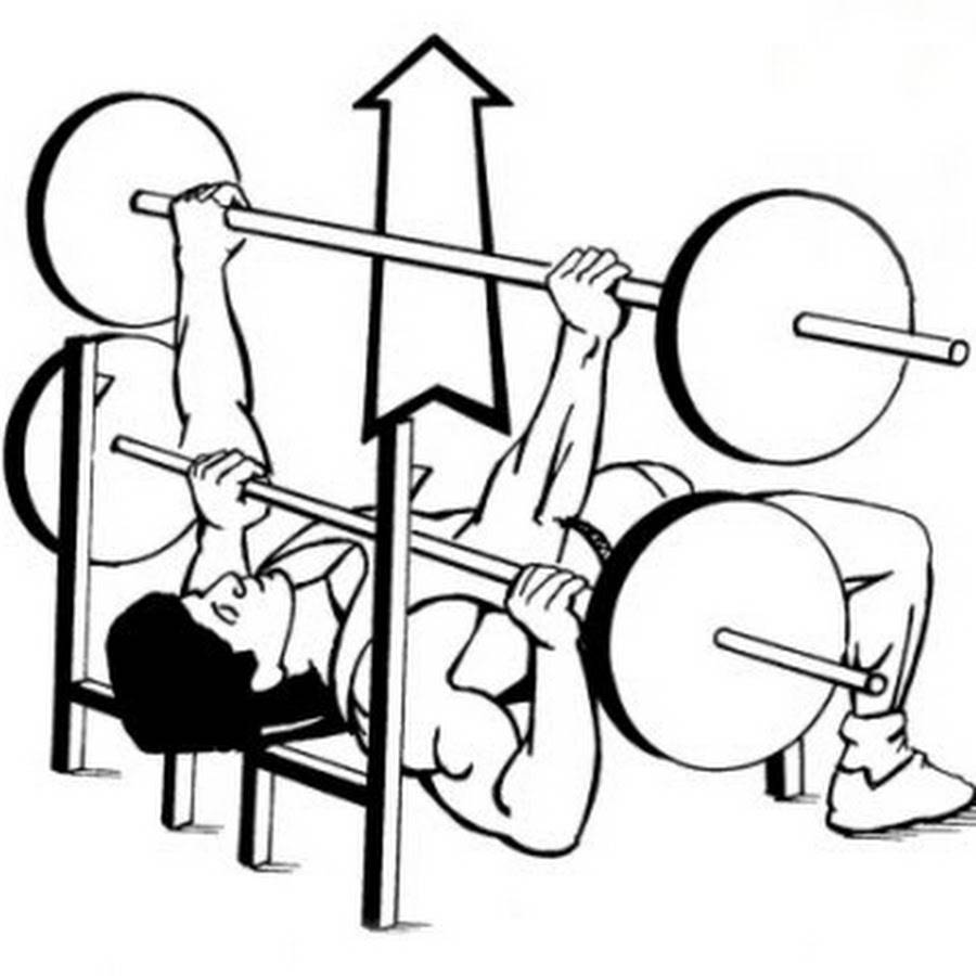 Упражнения для жима лежа. Жим лежа техника. Жим штанги лежа. Армейский жим штанги лежа. Жим штанги на горизонтальной скамье.
