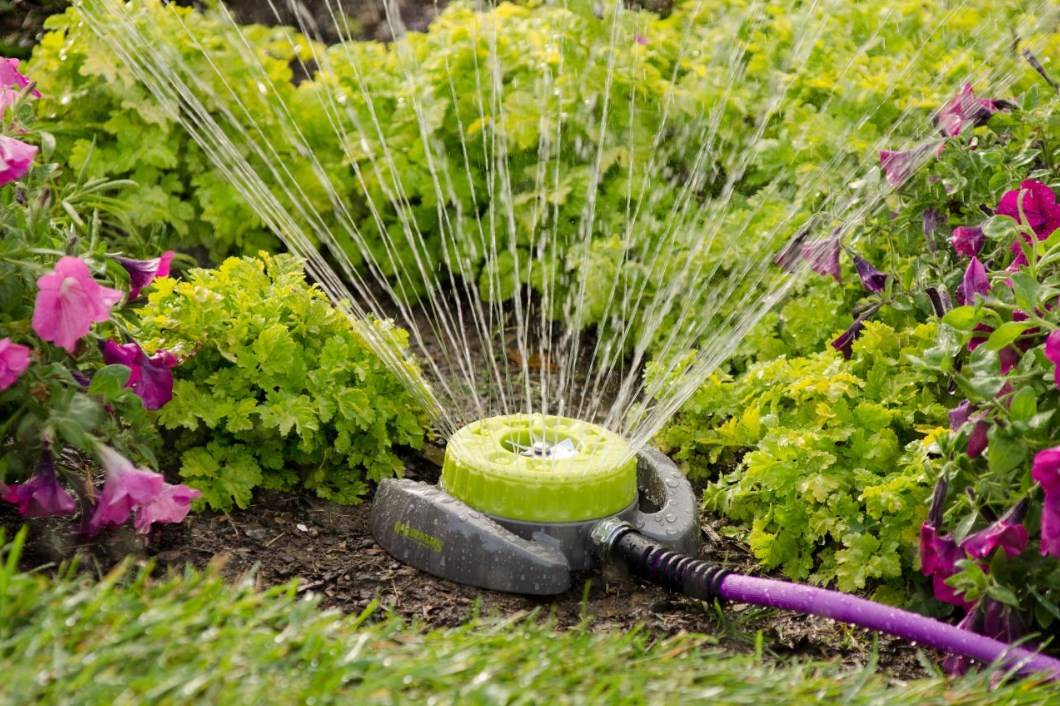 Инструкция по применению эпин-экстра для комнатных растений: как правильно поливать и обрабатывать цветы, меры предосторожности