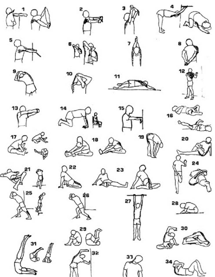 Стретчинг упражнений для растяжки всего тела: тренировки для начинающих