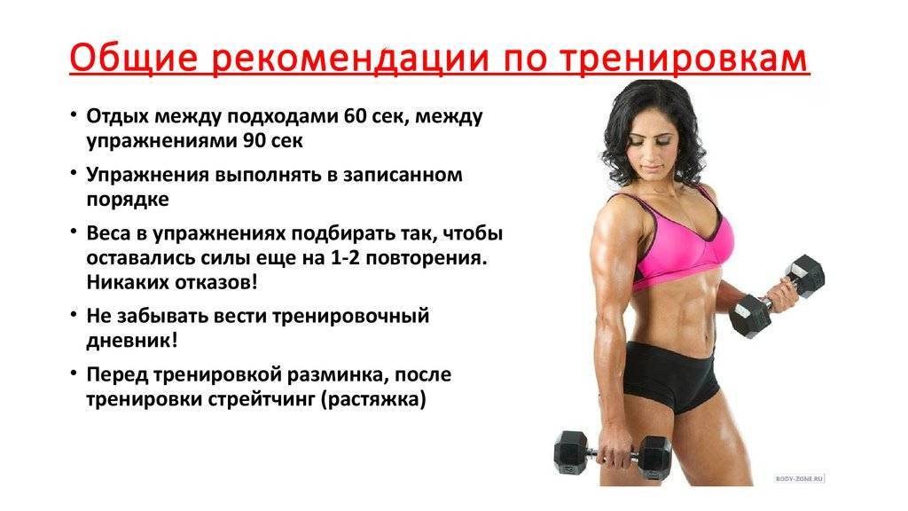 Руководство по составлению программы тренировок для начинающих