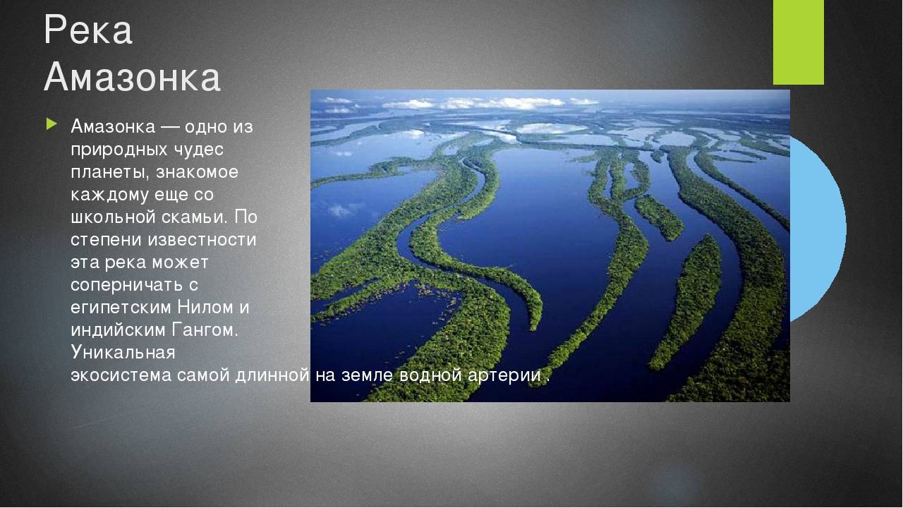 Самые длинные реки сша (с фото) | vivareit