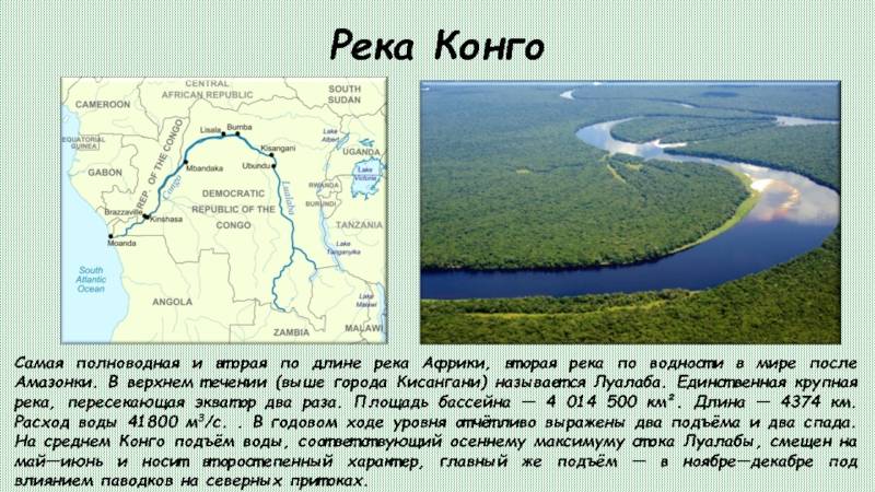 Что такое конго и где находится? конго: республика и река :: syl.ru