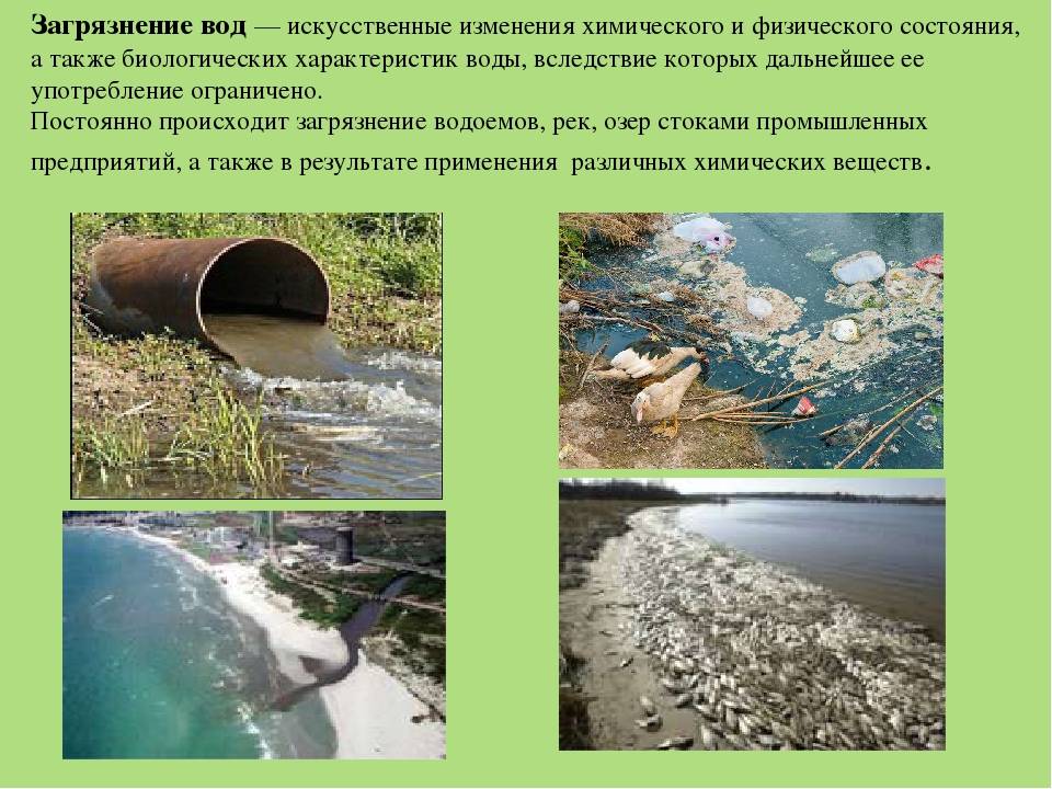 Водоемы причины. Загрязнение воды. Информация о загрязнение воды. Загрязнение воды презентация. Основные причины загрязнения воды.