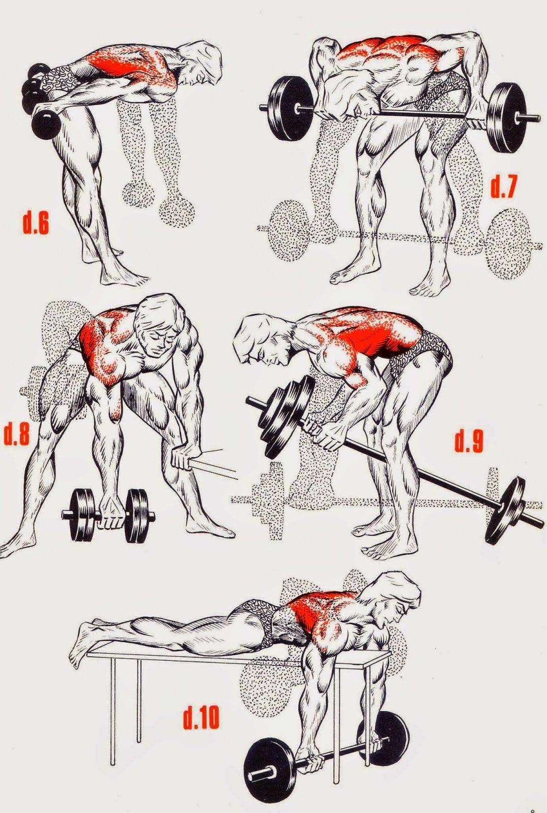 Как накачать мышцы быстро и правильно мужчине или девушке