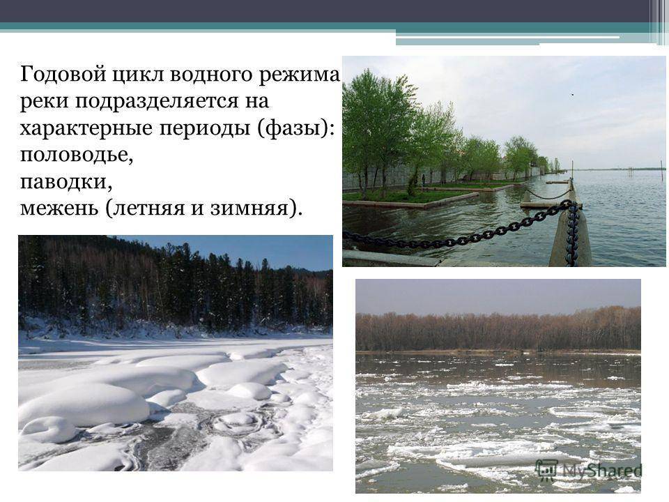 Река лена — самая крупная водная артерия в россии и интересные факты о ней: от географии до обитателей